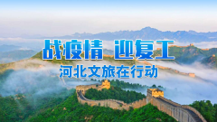河北省文化和旅游系统组织党员干部开展抗击疫情捐款活动 众志成城战疫情